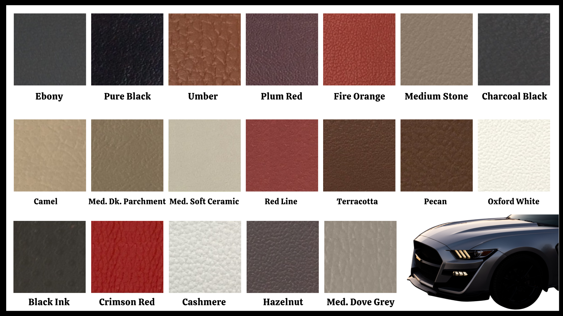 Ford Mustang - Läder & Vinylfärg