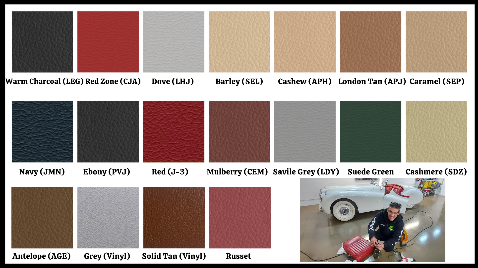 Jaguar - Läder & Vinylfärg