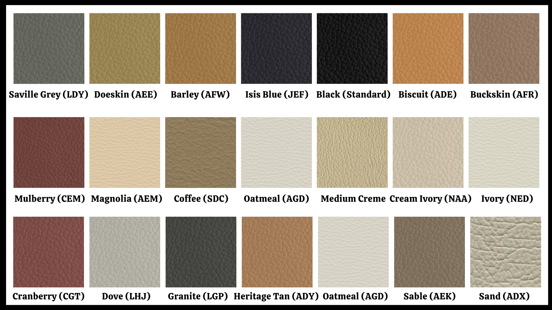 Jaguar - Läder & Vinylfärg